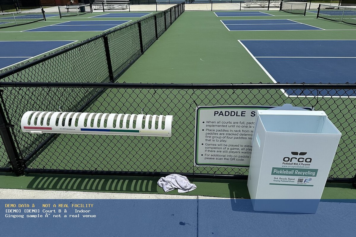 Pickleball paddles · DEMO only · Wikimedia Commons DEMO — pickleball paddle stacking (Wikimedia Commons)